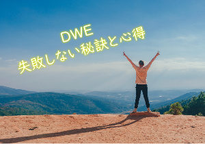 ディズニー英語システム Dwe 失敗しないための秘訣と心得 子供英語教材でバイリンガルに育てる子育て法